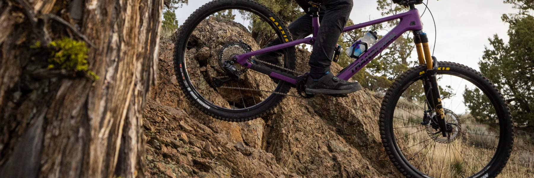 Ride Without Limits